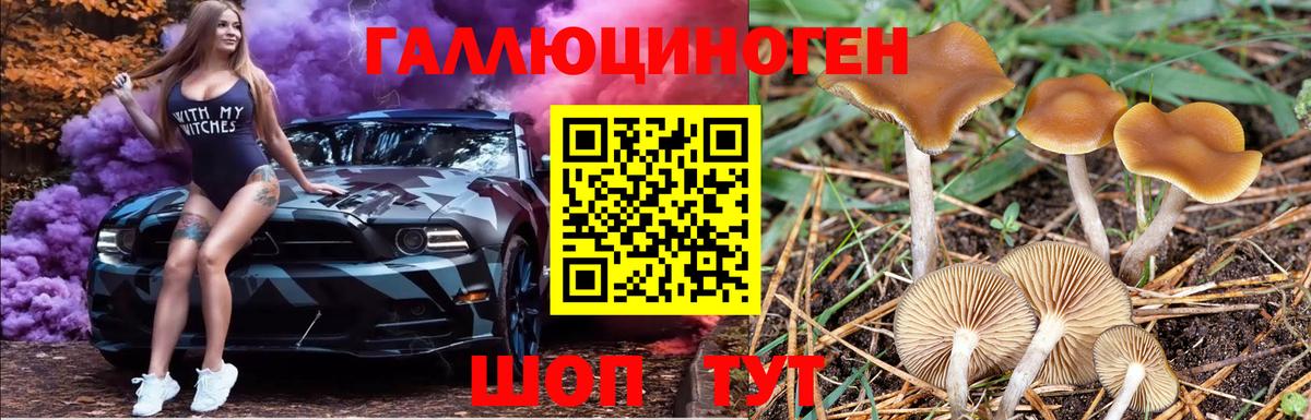 Псилоцибиновые грибы ЛСД Зерноград