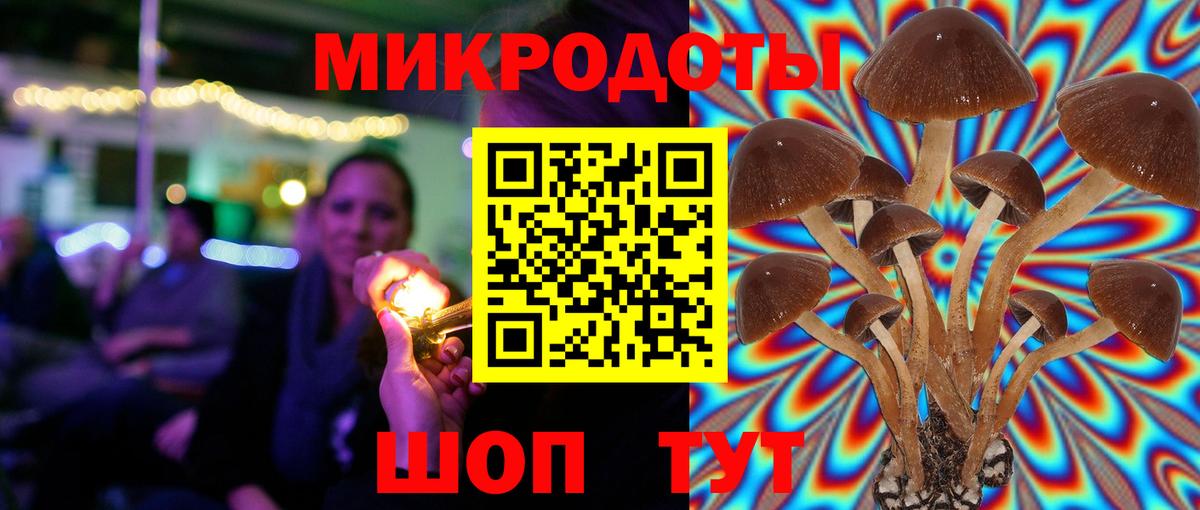 Галлюциногенные грибы мицелий  Псилоцибиновые грибы MAGIC MUSHROOMS  Вход с VPN  Зерноград 