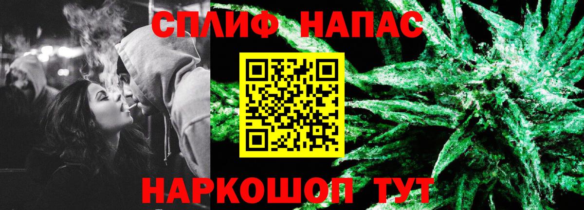 Канабис конопля Зерноград
